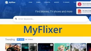 MyFlixtor