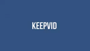 KeepVid