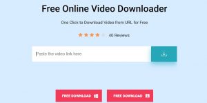 Acethinker Free Online Video Downloader